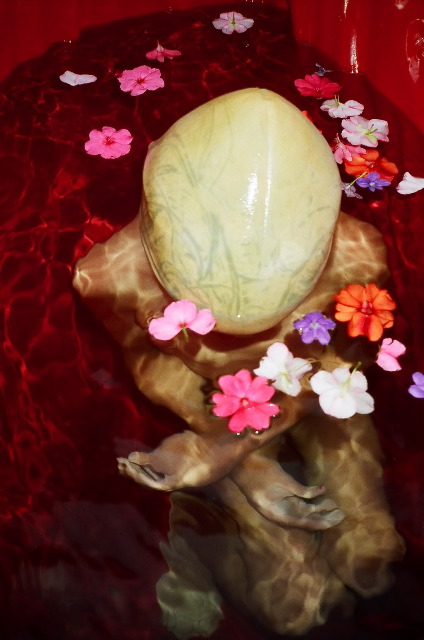 Link to Birth Underwater image